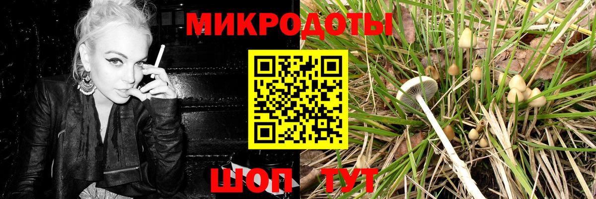 Псилоцибиновые грибы Psilocybine cubensis Лесозаводск
